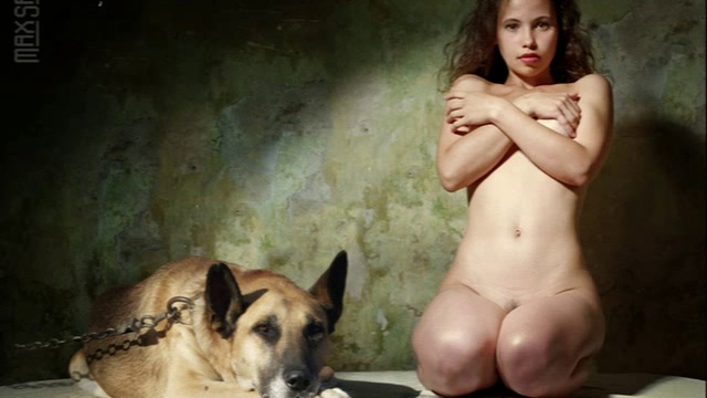 Акула пера  - Проект FANTOM