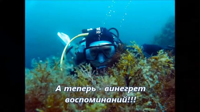 С Новым 2017 Годом, "Волшебники"! смотреть онлайн