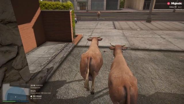 УКРАЛИ ПОЛИЦЕЙСКИЙ ВЕРТОЛЁТ И ВОЕННУЮ ТЕХНИКУ В GTA 5 RP | ПОЛИЦИЯ УКРАИНЫ В ДЕЛЕ |Приколы majestic смотреть онлайн