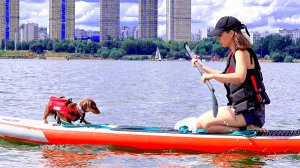 УЧИМ СОБАК ПЛАВАТЬ НА САПАХ