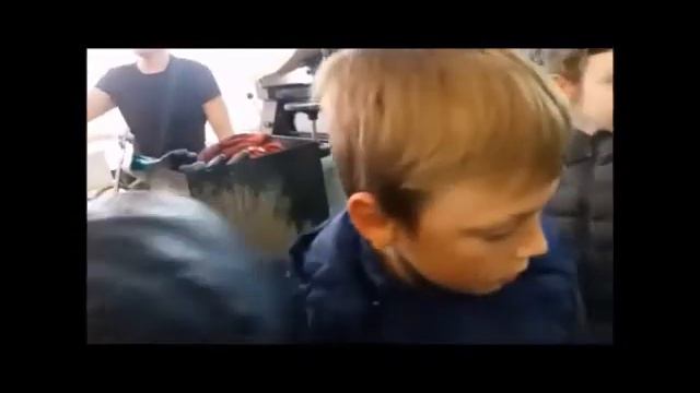 Книга кращий друг смотреть онлайн