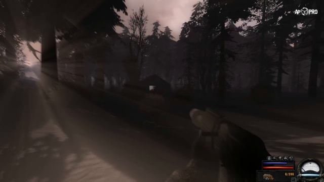 S.T.A.L.K.E.R: ТОП 5 ЛУЧШИХ ЗИМНИХ МОДОВ смотреть онлайн