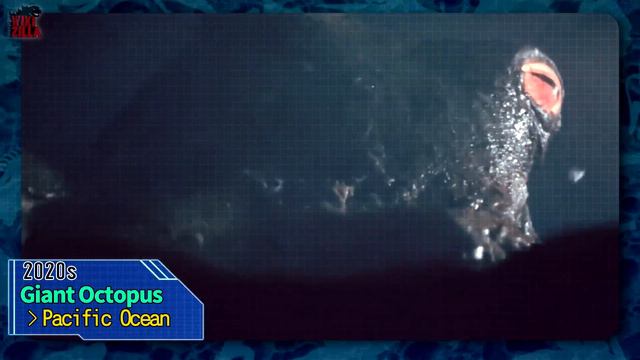 Anime GODZILLA Timeline (GODZILLA: Monster Apocalypse) 【wikizilla.org】