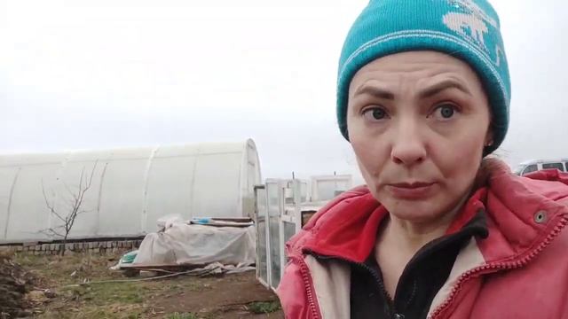 Повесили украшение корове.Нашлась пропащая.Сарай для коров.Тощие куры смотреть онлайн