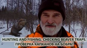 Охота и рыбалка. Проверка капканов на бобра