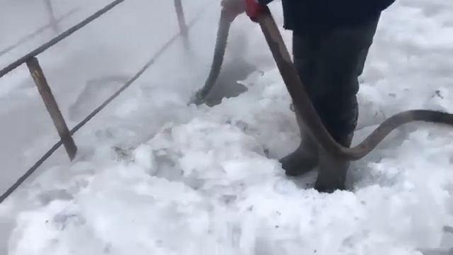 Сотрудники "Оскемен Тартып" ведут работу по предотвращению подтопления домов смотреть онлайн