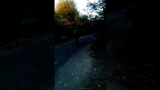 Вот что значит друзья смотреть онлайн