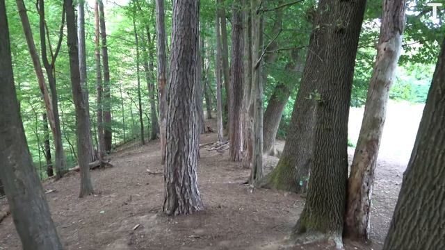 Sony FDR AX43 - 4K Handycam (Unboxing and video test) смотреть онлайн