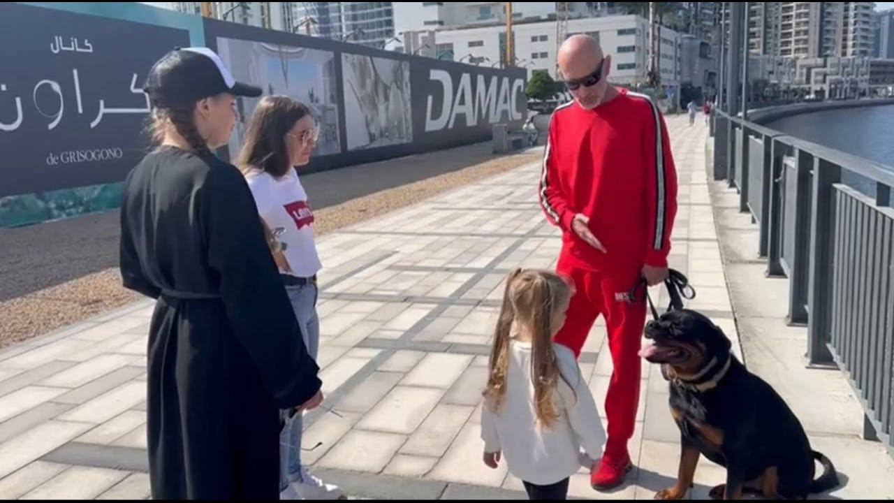 Собаки везде собаки (Ротвейлер) смотреть онлайн