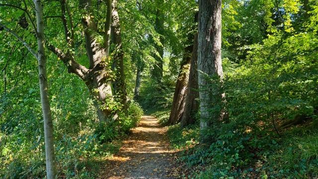 Eutin - Das Schloss смотреть онлайн