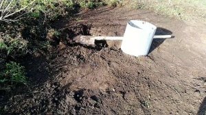 Идеальный воздушный грунт для рассады из лесной земли и перегноя СВОИМИ РУКАМИ