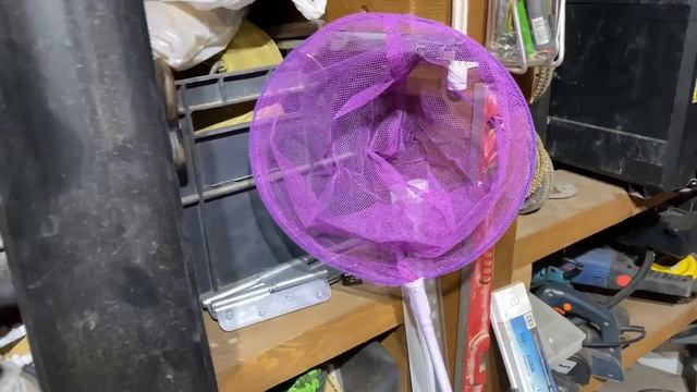 КОНЕЦ УТКАМ ИЛИ ПРИШЛО ВАШЕ ВРЕМЯ смотреть онлайн