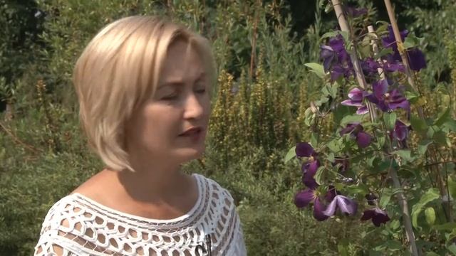 Клематис в вашем саду смотреть онлайн