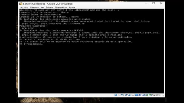 Como Instalar Apache2, PHP, MySQL y PhpMyAdmin 2019 смотреть онлайн