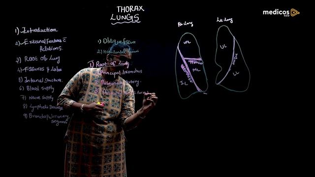 MBBS First Year Anatomy Learning Topic "Lungs Part 02" смотреть онлайн