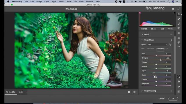 Editing Color Photos With Adobe Camera Raw | Photoshop Tutorials смотреть онлайн