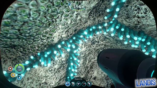 Cuddle Fish Egg Location - Subnautica Guide смотреть онлайн