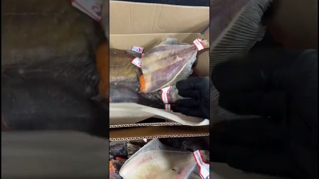 Камбала вяленая ? смотреть онлайн