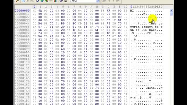 Hex Editor Password Hack with demonstration смотреть онлайн