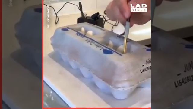 Необычные торты смотреть онлайн