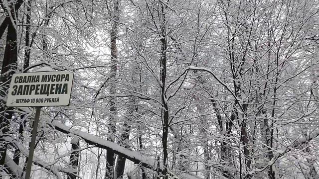 На обочине дороги бывает Зимняя сказка!❄❄❄