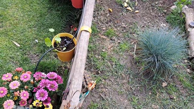 Arrosage autonome solaire aquabloom gardena. Présentation, montage du système automatique d'arrosag смотреть онлайн