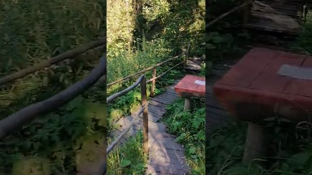 Три родника на реке Горетовке возле города Зеленограда. смотреть онлайн