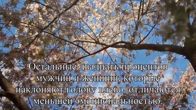 Интересные факты о поцелуях — Статья смотреть онлайн
