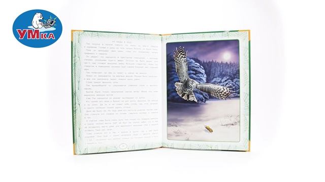 Книга БИАНКИ В., Умка 978-5-506-06362-9