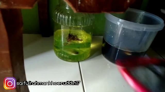 cara mengatasi chana stewarti mager 3 hari langsung work ! смотреть онлайн