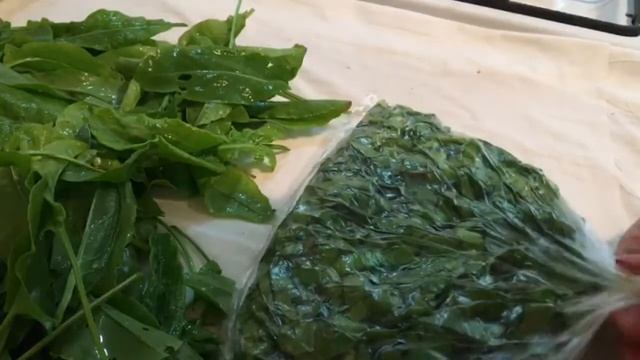 Заготовка щавеля на зиму смотреть онлайн