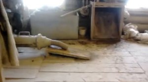 Как появляется какашка