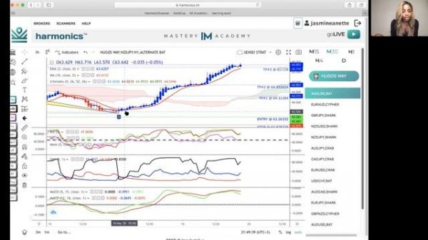 Sensei Strategy Harmonics Scanner