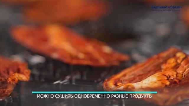 Сушилка для овощей Zigmund & Shtain ZFD-404 смотреть онлайн