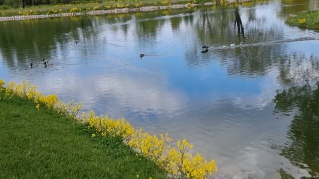 Родовое табу. Преодоление смотреть онлайн