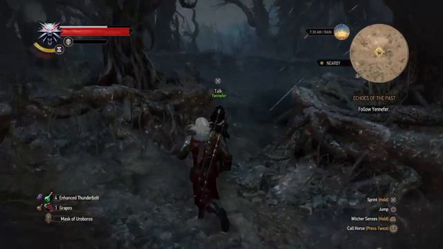 Lets Play The Witcher 3 : Wild Hunt - Part 50 Echoes of the Past смотреть онлайн