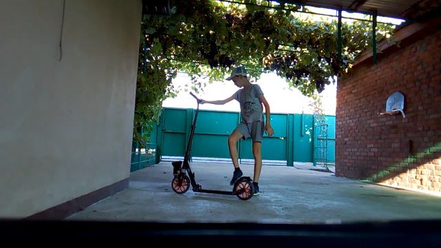 Лай щенка на самокат смотреть онлайн
