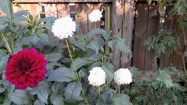 НАШЕСТВИЕ ПРОБЛЕМ/ ЖИЗНЬ ХОРОША/КУПИЛА ДОМ В ДЕРЕВНЕ смотреть онлайн