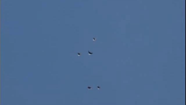 Цыганка старая гадала. смотреть онлайн