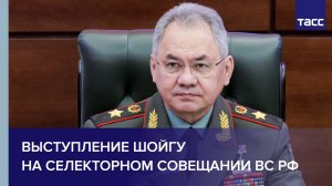 Выступление Шойгу на селекторном совещании ВС РФ
