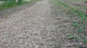 Измельчитель валков к тракторам МТЗ ЮМЗ своими руками.