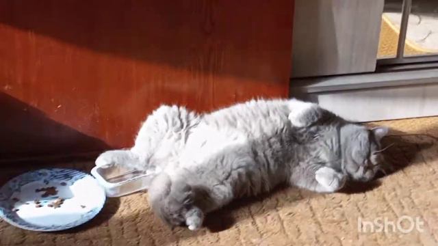 Где упал, там и Родина смотреть онлайн