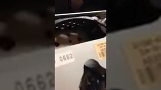 Lexus IS300 CD Player Error Part 1 смотреть онлайн