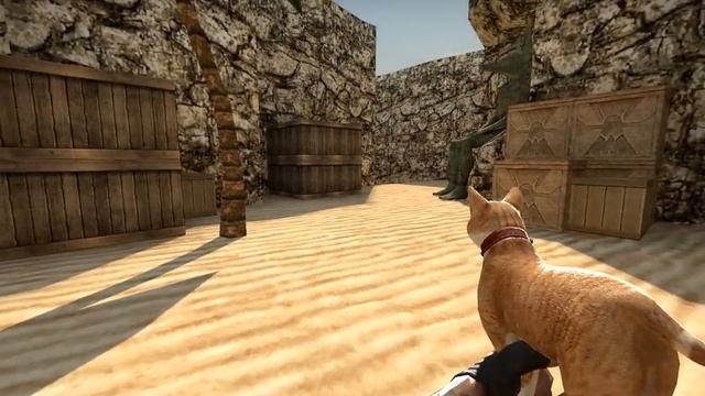 CS:GO - Preview "Cat Gun" from Special Force 2 смотреть онлайн