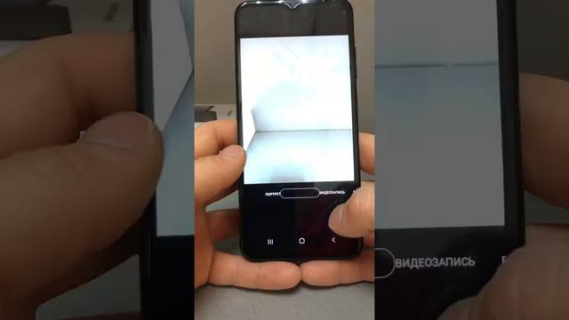 24 марта 2022 г.