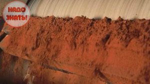 Как и из чего делают шоколад?