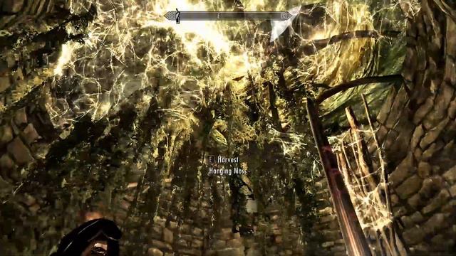 Joosep Mängib: SKYRIM Osa 71 - Maja ehitus смотреть онлайн