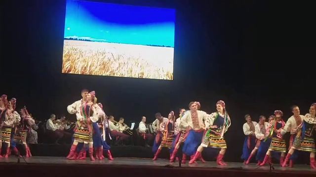 Ансамбль "Славутич" Гопак на біс смотреть онлайн