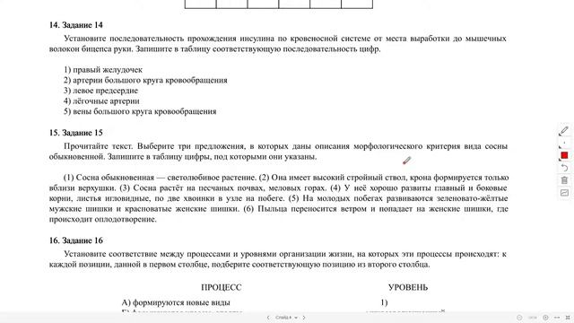 Разбор варианта ЕГЭ №1 смотреть онлайн