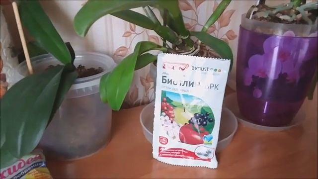 Орхоманам на заметку, БИОТЛИН. смотреть онлайн